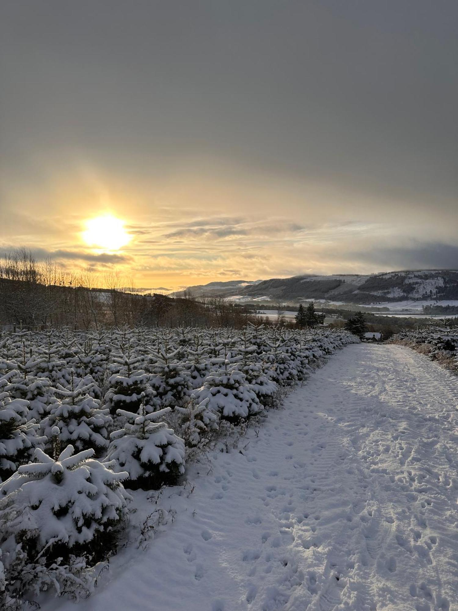 Kinnaird Woodland Lodges Pitlochry Exterior foto
